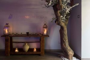 ananda spa | centro de masajes y estética | eventos beauty party 6