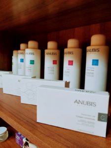 anukis thai massage barcelona 8