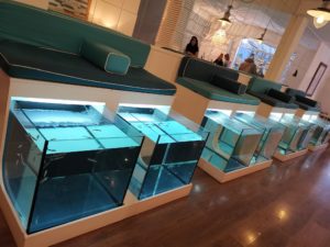 aquabliss fish spa 1