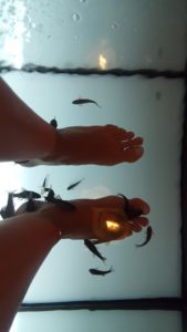 aquabliss fish spa 6