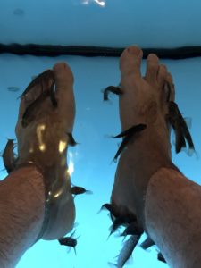 aquabliss fish spa 7