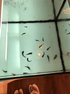 aquabliss fish spa 9
