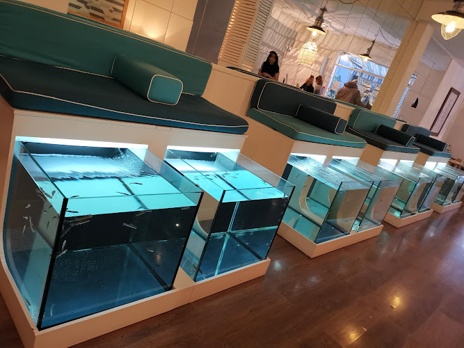 aquabliss fish spa cover