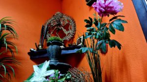 ayurveda niramaya barcelona 3