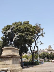 plaça de catalunya 9