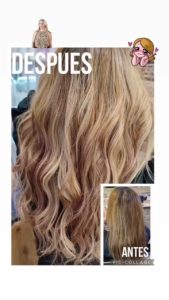 virgola milano blow 1